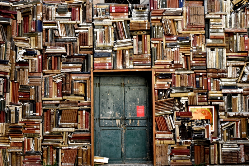 librairie-TOURRETTES SUR LOUP-min_books-1655783